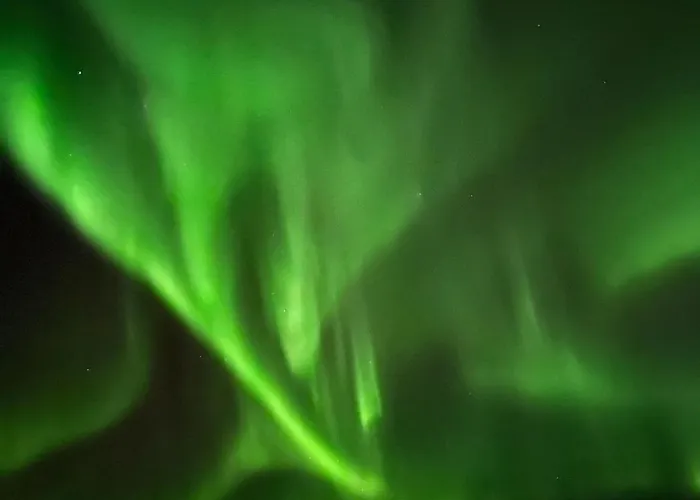 Lofoten Arctic Pearl Lyngværet